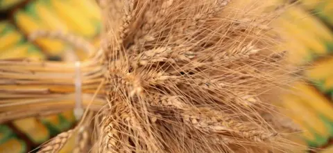 Getty Images US wheat