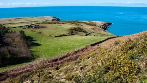 Amanda Ruggeri Bardsey