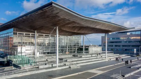 Getty Images The Senedd