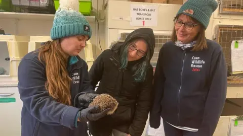 Cuan Wildlife Rescue Staff at the centre