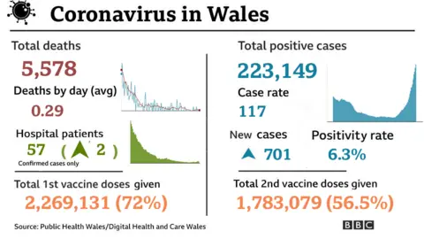 Summary graphic