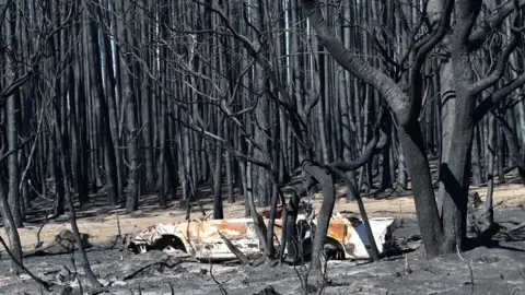 Getty Images Fire damage in Kangaroo Island