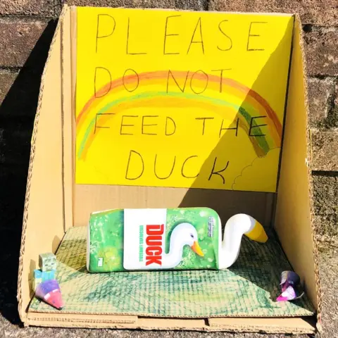 Laura Johnstone Toilet duck