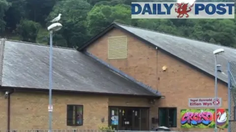 BBC Gull on lamppost at Ysgol Eifion Wyn, Porthmadog