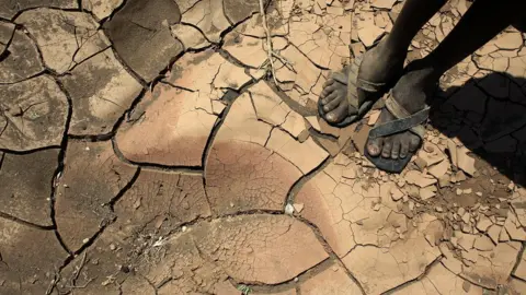 Getty Images Someone standing in a dried up river in northern Kenya