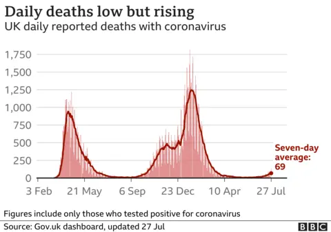 Graph showing number of deaths recorded in UK