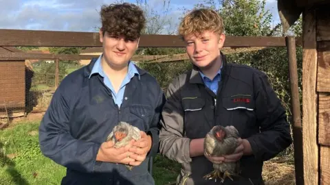 Two male school students. The boy on the left has dark hair, a blue shirt and navy blue overalls on. The boy on the left is blonde and wearing a blue shirt and black overalls. Both of them are holding chickens.