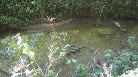 Environment Agency Grendon Brook