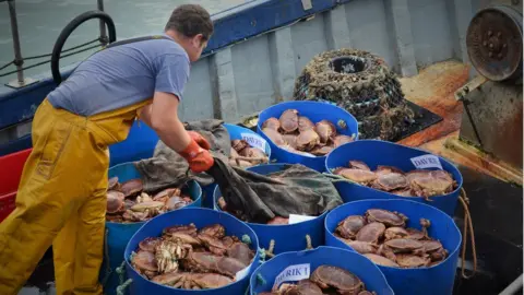 Crab exporter