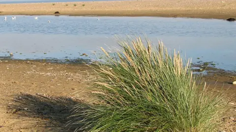 Geograph/Evelyn Simak Spit of sand and shingle at Kessingland, Suffolk