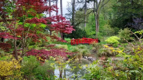 Chris Hoskins Bridge in the Japanese garden