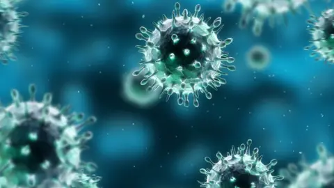 Eraxion The H1N1 virus