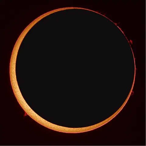 Stefan Seip Annular eclipse