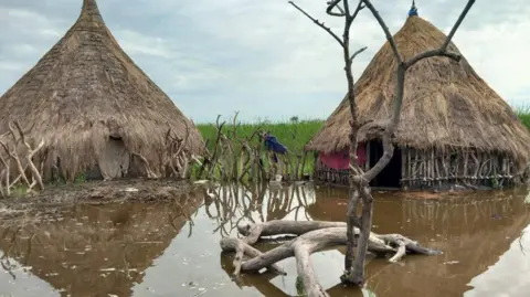 Ocha Two thatched homes, next to each other, partly submerged in muddy floodwater in which their reflections can be seen. Tall green grass is in the background.