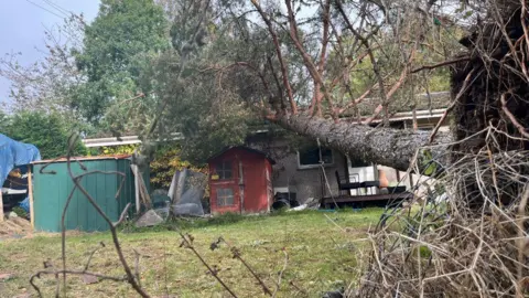A tree which has been pulled out of the ground by wind lying on top of a roof in Balnain near Drumnadrochit.