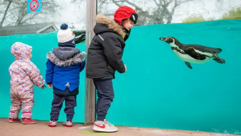 PA Media Children watch a penguin at the zoo - 12 April 2021