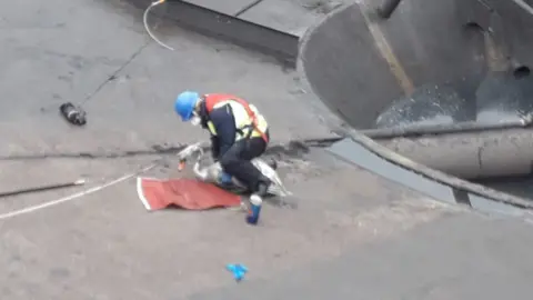 RSPCA Swan rescue