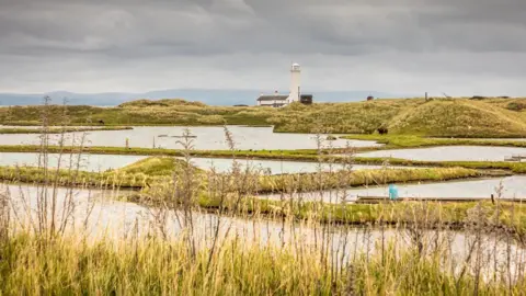 Getty Images Walney Island nature reserve and lighthouse