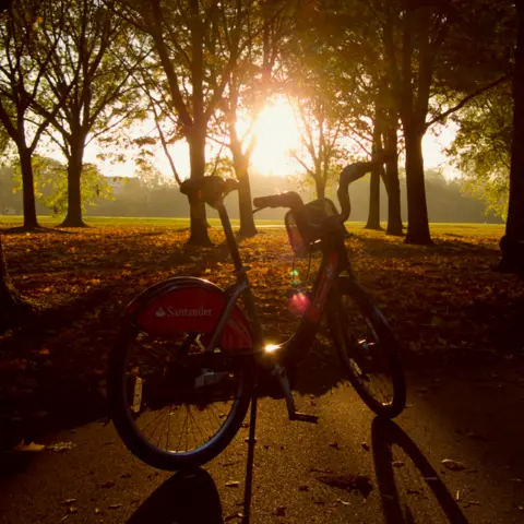 TfL A Santander Cycle is positioned on a park path covered in fallen leaves. Rows of tall trees surround it, and the rising sun shines directly through the trunks, casting shadows across the ground.