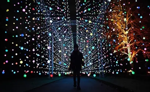 EPA Kew Gardens Christmas lights