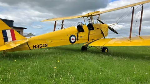 Tiger Moth