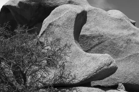 Stuart Franklin Stone formation