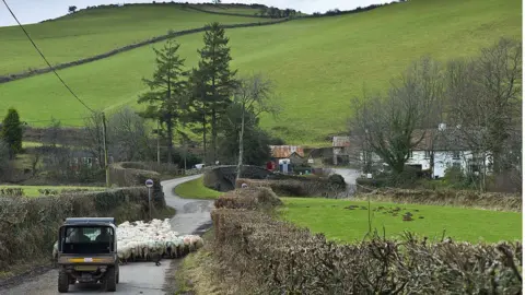 Getty Images A farmer with his sheep