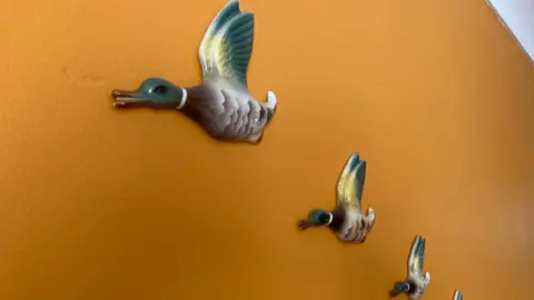 Flying ducks