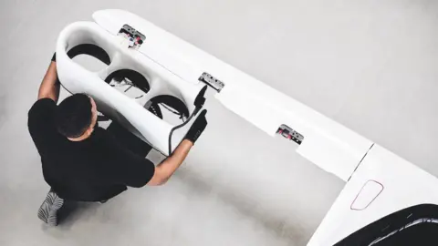 Lilium Lilium engineer