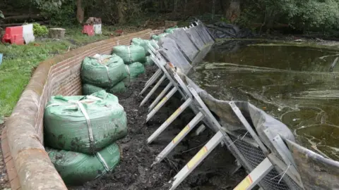 Red Zebra Photography The cofferdam at Felbrigg Hall's lake