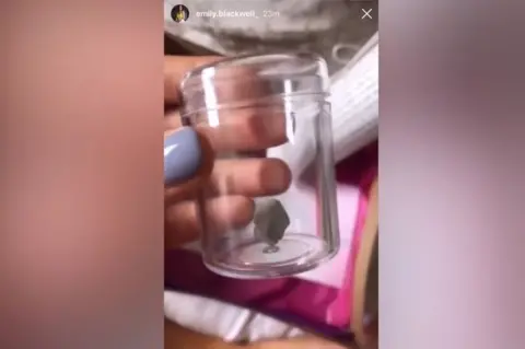 Emily Blackwell/Instagram The piece of gravel sent to influencers