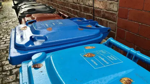 Bins stored down an alleyway