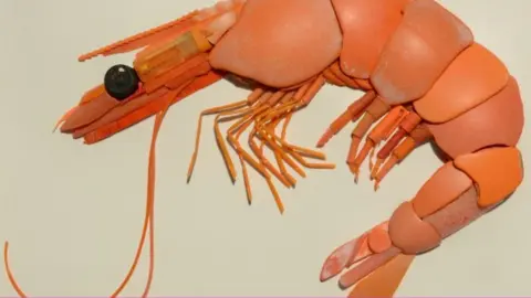 Rob Arnold Sculpture in shape of a prawn