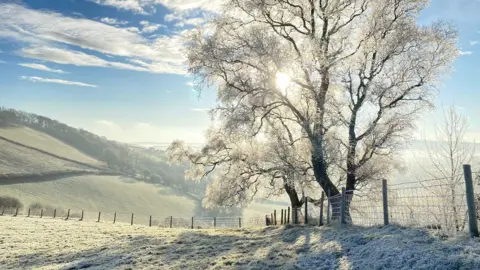 Frosty scene at Powys