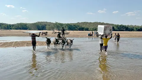 BBC/Ed Habershon People crossing the Limpopo River from Zimbabwe into South Africa