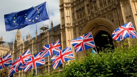 Getty Images Flags outside Parliament