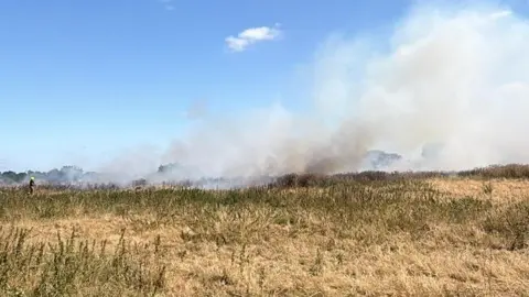Jay Loft Brown fields with shoots of dark green, with smoke rising. A firefighter is standing in the field working to extinguish the flames.
