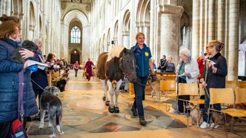 Ely Cathedral Animals attending a service at Ely Cathedral