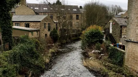 J Woodward Uppermill on the River Tame