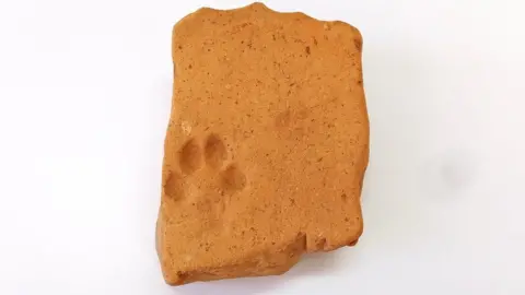 Southwell Minster Cat print tile