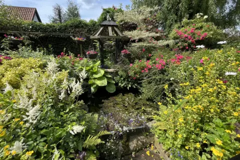 Shaun Whitmore/BBC Rita and Roy Cooper, open garden