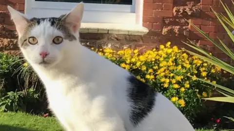 Yvonne Harrison Ziggy