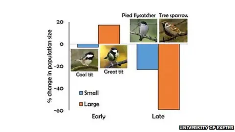 University of Exeter Graph