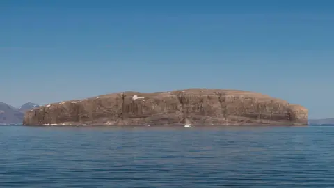 Alamy Stock Photo Hans Island
