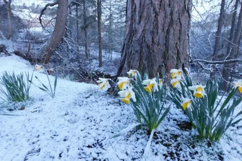 Shone/BBC Weather Watchers Snow at Braemar