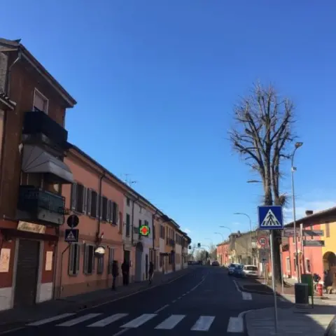 Daniela Marchiotti Village of San Fiorano