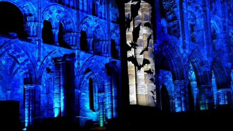 English Heritage bat's projected on Whitby Abbey
