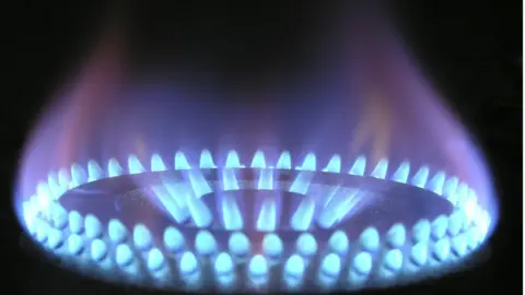 LDRS Gas cooker flame