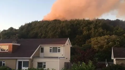 Peter A Tully Fire on Pembrey Mountain