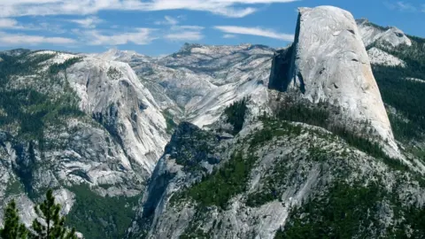 SYMG Collection Sites such as the iconic Yosemite National Park could be closed off during the shutdown